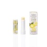 Lemon lip balm – Sapori e Profumi di Positano