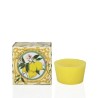 Scented candles with lemon essential oils and citronella essence – Sapori e Profumi di Positano
